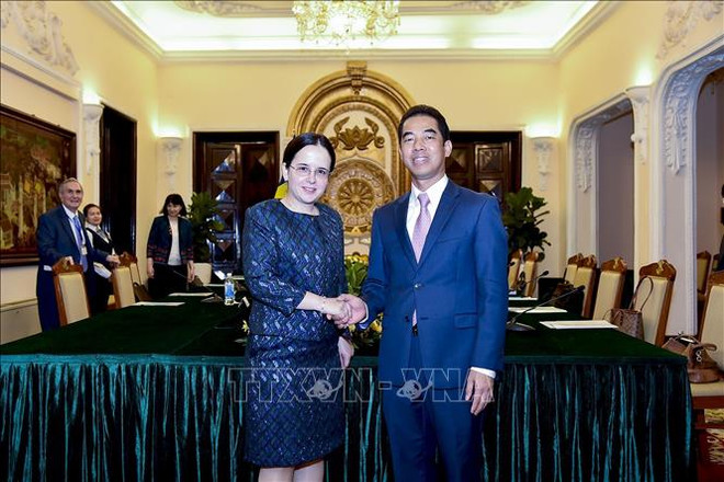 越南与罗马尼亚政治磋商在河内举行 ảnh 1