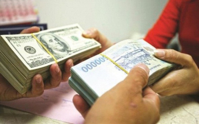 越南各家商业银行同时下调美元价格 ảnh 1 越南各家商业银行同时下调美元价格 ảnh 1
