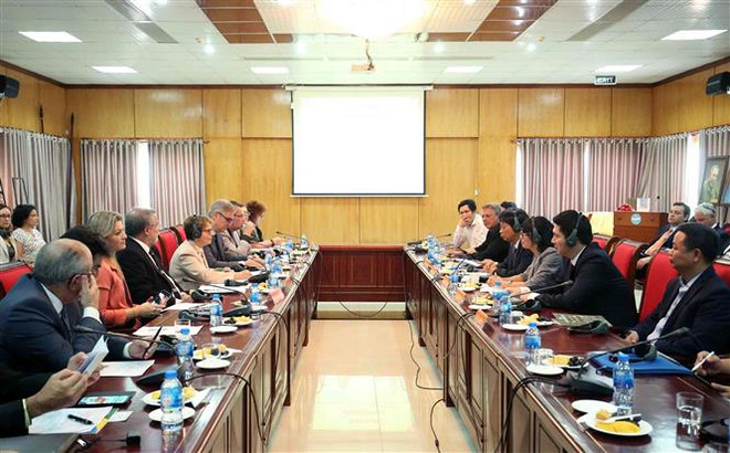 越南与巴西扩大双边贸易 ảnh 2