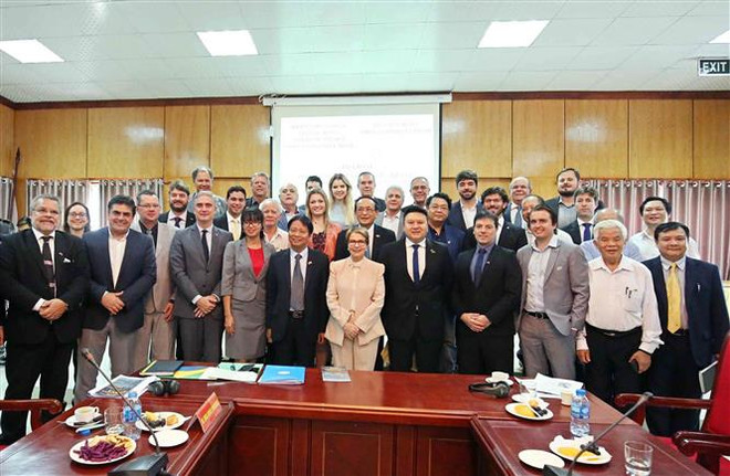 越南与巴西扩大双边贸易 ảnh 1