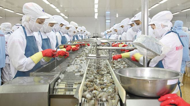  日本三井物产株式会社购买越南明富水产集团的35.1%股份 ảnh 2