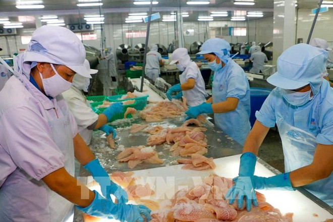 海外越南企业为越南商品进入欧洲市场搭建桥梁 ảnh 1 海外越南企业为越南商品进入欧洲市场搭建桥梁 ảnh 1