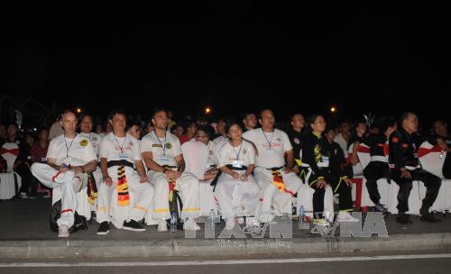 第6届越南传统武术国际节在平定省开幕 ảnh 2 第6届越南传统武术国际节在平定省开幕 ảnh 2