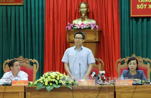 武德儋副总理：西原地区各省需加大登革热防控力度 ảnh 1