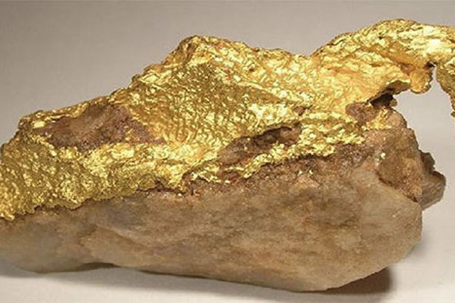 越南发现通过航空途径走私5公斤黄金的案件 ảnh 1 越南发现通过航空途径走私5公斤黄金的案件 ảnh 1