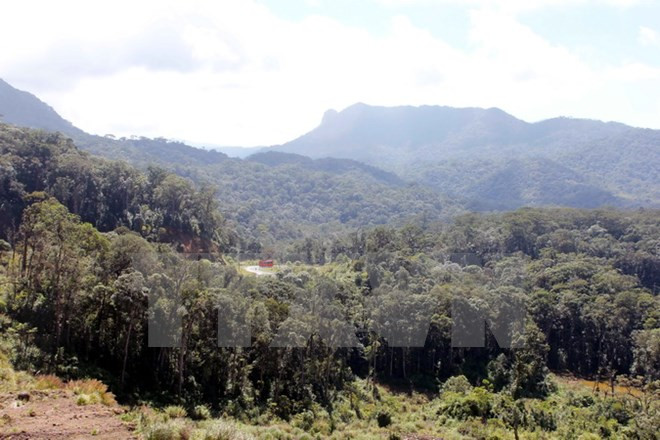 日本国际协力机构协助越南林同省发展浪平山世界生物圈保护区 ảnh 1
