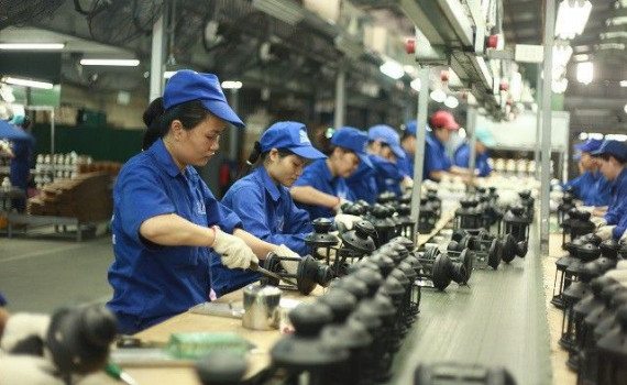 越南81%的企业对2020年四季度生产经营活动持乐观态度 ảnh 1 越南81%的企业对2020年四季度生产经营活动持乐观态度 ảnh 1