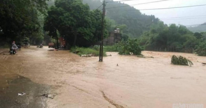 洪涝给越南多地遭造成严重的人员和财产损失 ảnh 2