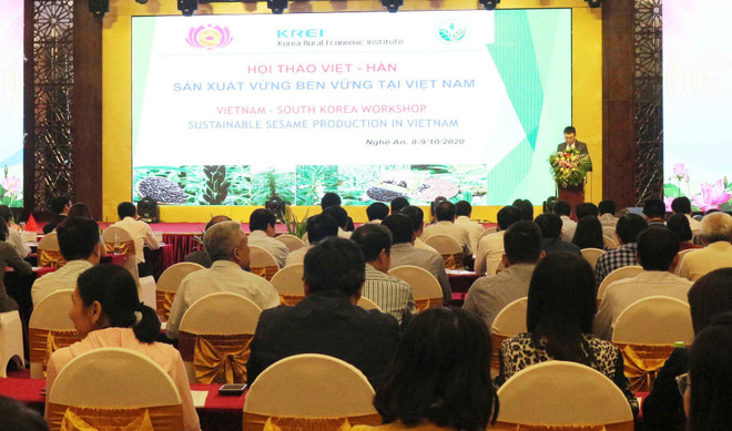 越南与韩国携手促进芝麻生产可持续发展 ảnh 1 越南与韩国携手促进芝麻生产可持续发展 ảnh 1