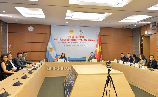 越南国会代表与阿根廷议会议员就妇女权益举行在线座谈会 ảnh 1