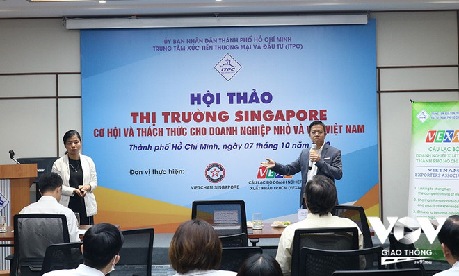 新加坡——越南中小企业走向世界的桥梁 ảnh 2 新加坡——越南中小企业走向世界的桥梁 ảnh 2