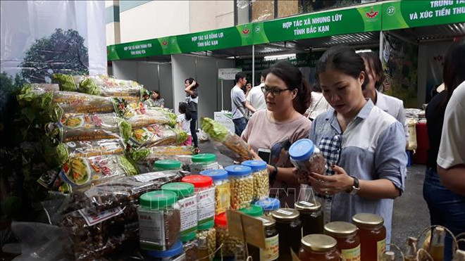 升龙-河内建都1010周年：河内市举行文化周 ảnh 1