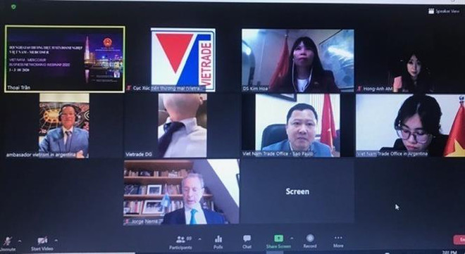 越南与南共市贸易促进会以视频方式召开 ảnh 1