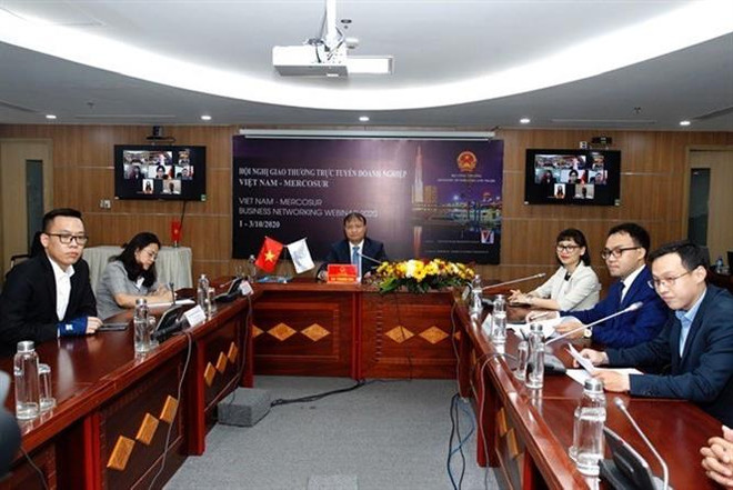 越南与南共市贸易促进会以视频方式召开 ảnh 2