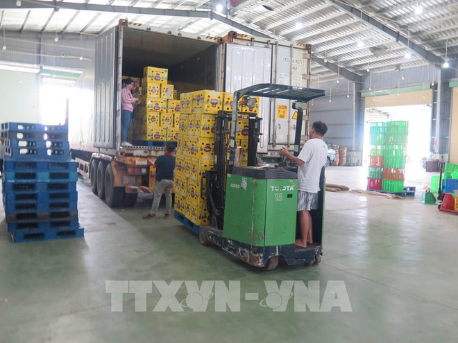 越南出口正逐步走近目标 ảnh 1