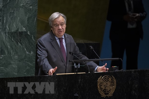 加强妇女赋权 致力于可持续发展 ảnh 1 加强妇女赋权 致力于可持续发展 ảnh 1