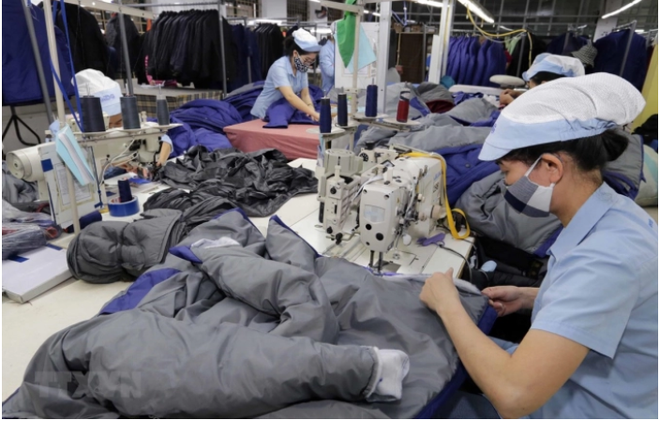 EVFTA: 充分利用优惠待遇 加大对欧盟市场的出口力度 ảnh 1