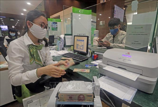 2020年越南信贷增长率可达8-9% ảnh 1 2020年越南信贷增长率可达8-9% ảnh 1