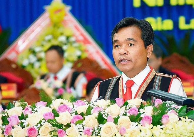 胡文年同志再次当选嘉莱省委书记 ảnh 1