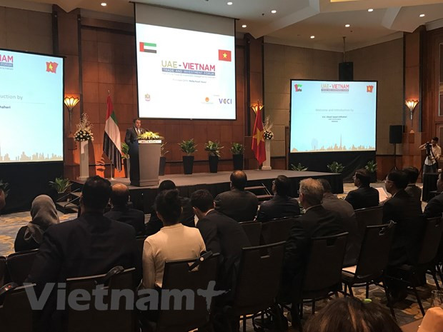 阿联酋——越南商品进军中东市场的战略窗口 ảnh 1