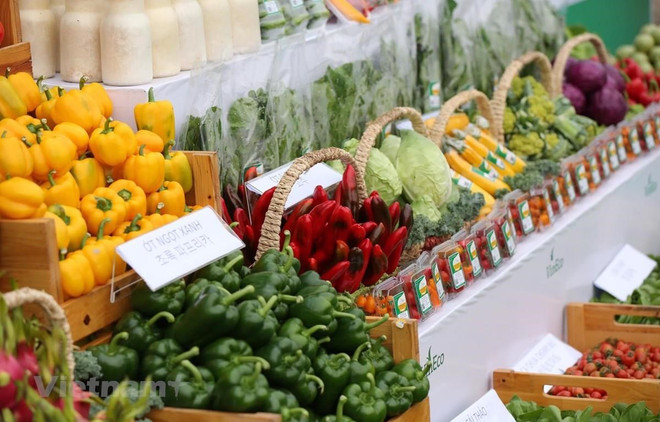 越南零售市场继续吸引外国投资商的眼球 ảnh 5