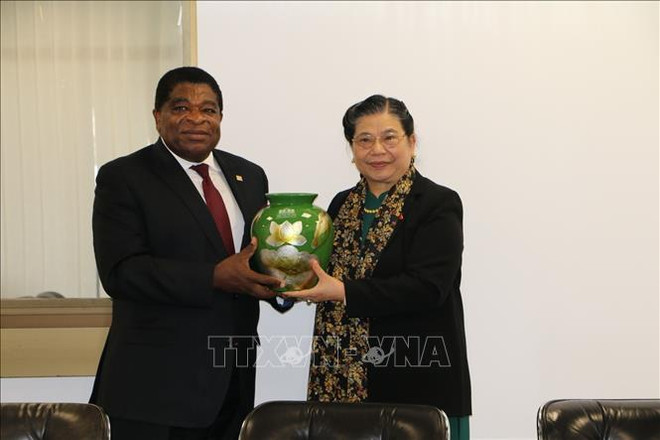 IPU-141：丛氏放同各国议会联盟秘书长和缅甸代表团团长进行双边会晤 ảnh 1