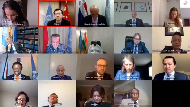 越南出席联合国安理会有关苏丹达尔富尔问题的连线视频会议 ảnh 1