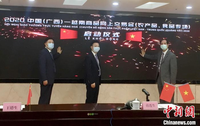 越南与中国(广西)首次举行商品网上交易会 ảnh 1 越南与中国(广西)首次举行商品网上交易会 ảnh 1