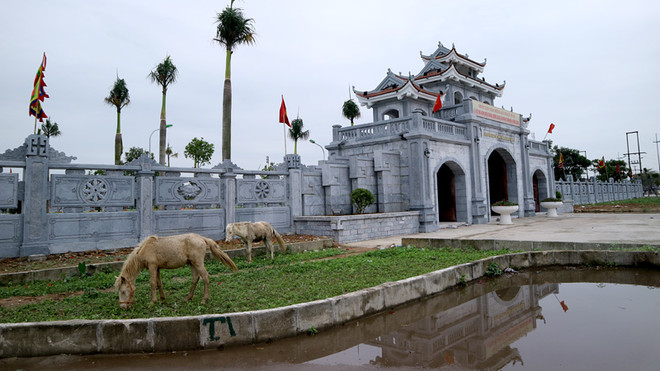 北江省努力发挥昌江国家级特殊历史遗迹的价值 ảnh 2