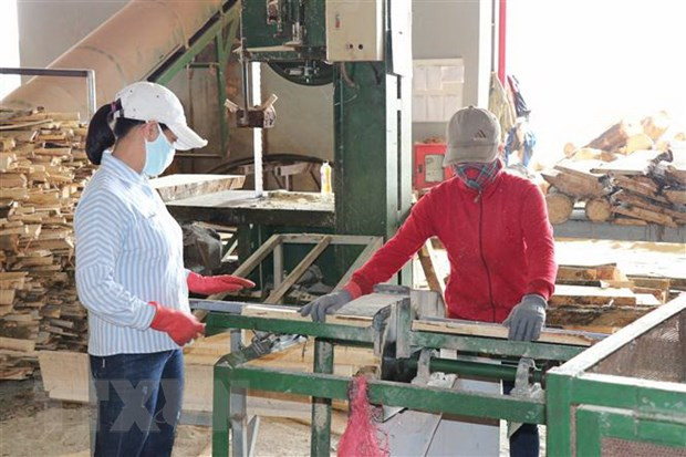 新冠肺炎疫情:胡志明市努力帮助企业恢复生产经营正常秩序 ảnh 2 新冠肺炎疫情:胡志明市努力帮助企业恢复生产经营正常秩序 ảnh 2