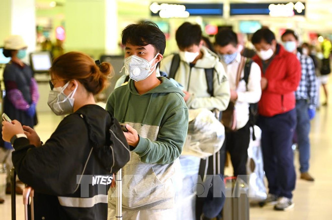 越南驻澳大利亚大使馆积极为越南留学生和青年提供协助 ảnh 1 越南驻澳大利亚大使馆积极为越南留学生和青年提供协助 ảnh 1