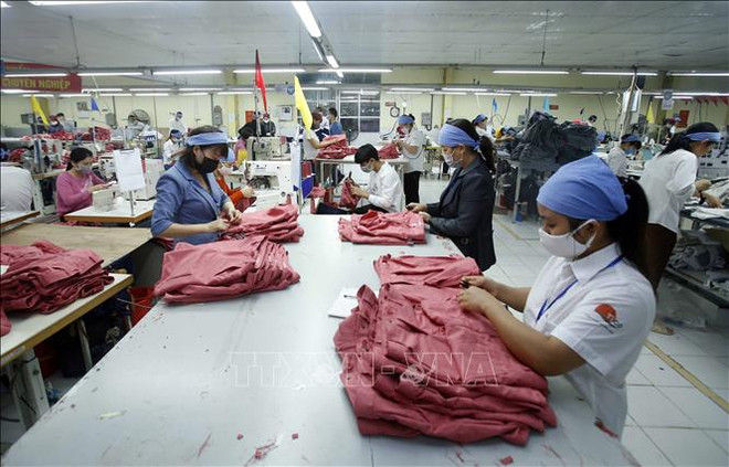 渣打银行预测2020年越南经济增长率为3.3% ảnh 1 渣打银行预测2020年越南经济增长率为3.3% ảnh 1