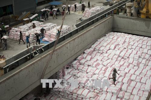 东盟承诺在新冠肺炎大流行期间确保粮食安全 ảnh 1 东盟承诺在新冠肺炎大流行期间确保粮食安全 ảnh 1