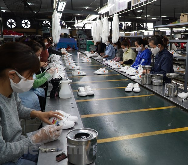 疫情期间越南内资企业出口成为贸易活动的亮点 ảnh 1