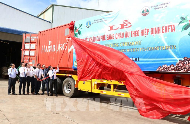 工贸部长陈俊英:加强国际合作抗击疫情 将经济早日重返正常轨道 ảnh 2 工贸部长陈俊英:加强国际合作抗击疫情 将经济早日重返正常轨道 ảnh 2