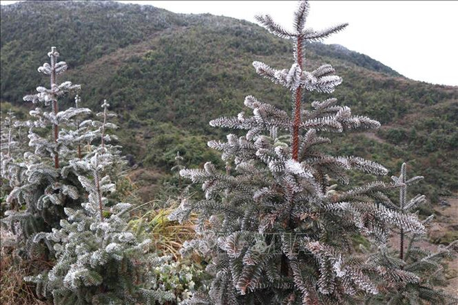 冷空气加强 北部、中部地区持续低温 ảnh 4 冷空气加强 北部、中部地区持续低温 ảnh 4