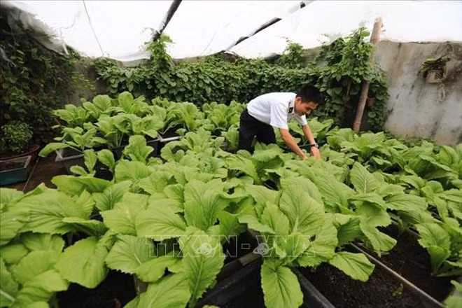 波涛汹涌的长沙换发新活力 ảnh 3 波涛汹涌的长沙换发新活力 ảnh 3