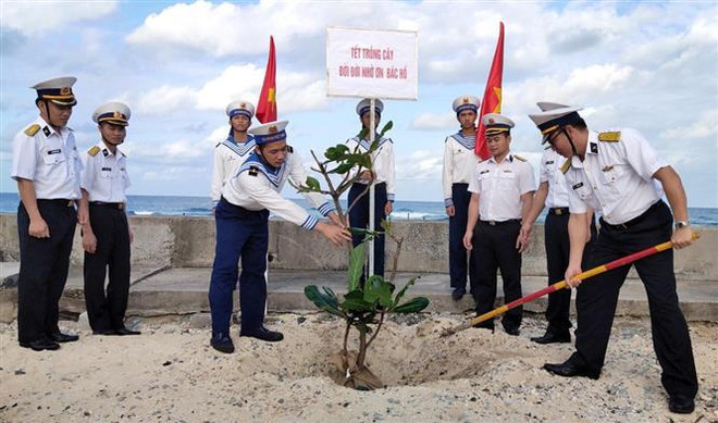 辛丑年植树节： 积木成林 ảnh 2