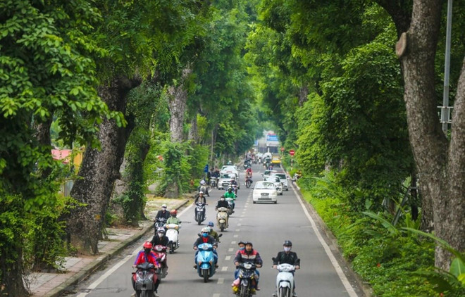 辛丑年植树节： 积木成林 ảnh 1