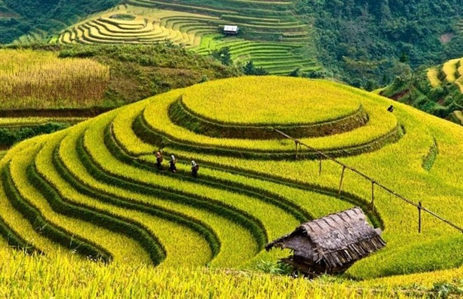 越南令人痴迷的木江界 ảnh 1 越南令人痴迷的木江界 ảnh 1