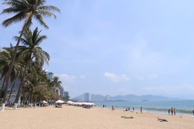加强越南与俄罗斯的旅游合作力度 ảnh 1