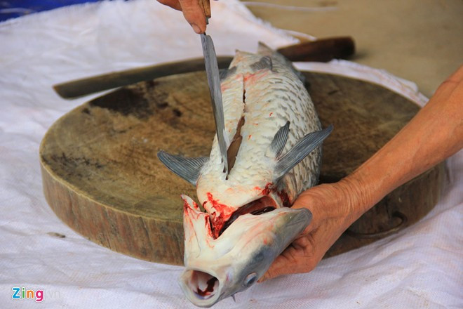 美味的干焖鱼 ảnh 1