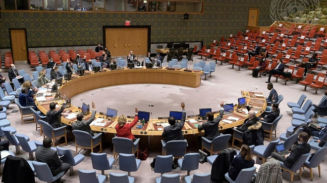 富有越南烙印的贡献 ảnh 1