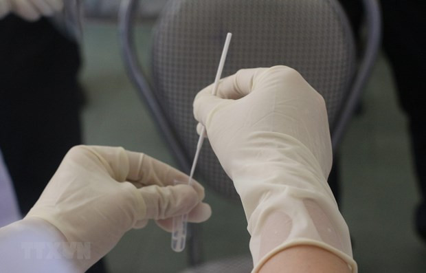 胡志明市新增5例奥米克戎毒株感染病例 ảnh 1 胡志明市新增5例奥米克戎毒株感染病例 ảnh 1