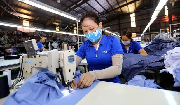 越南出台《区域全面经济伙伴关系协定》实施计划 ảnh 1