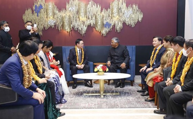 越南与印度双边关系发展潜力巨大 ảnh 1