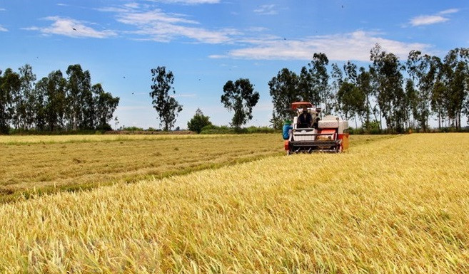 越南农业与农村发展部部长黎明欢:灵活性和适应性是成功之关键 ảnh 1 越南农业与农村发展部部长黎明欢:灵活性和适应性是成功之关键 ảnh 1