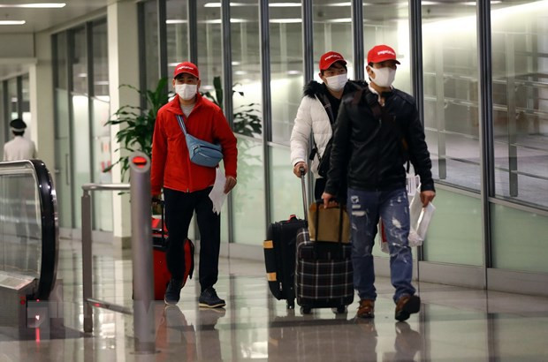 2022年元旦河内市迎接日本游客143人 ảnh 2