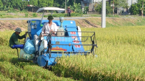 河南省为建设新农村筹集逾3180亿越盾 ảnh 1