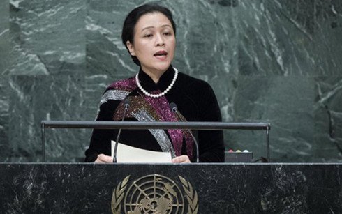 越南承诺加强配合 促进和保护人权实现可持续发展目标 ảnh 1